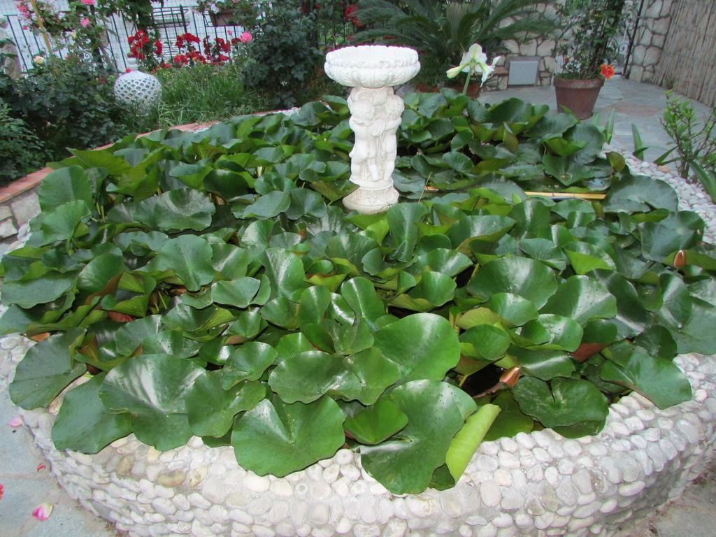 B&B Palazzo A Mare Capri Eksteriør billede