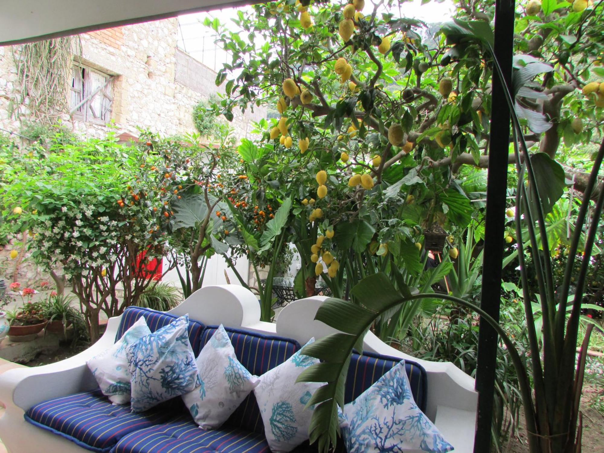 B&B Palazzo A Mare Capri Eksteriør billede