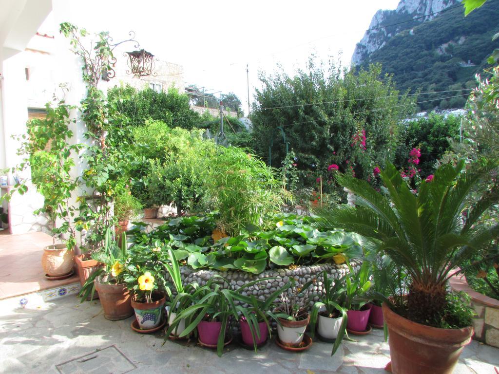 B&B Palazzo A Mare Capri Eksteriør billede
