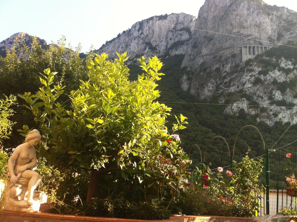 B&B Palazzo A Mare Capri Eksteriør billede